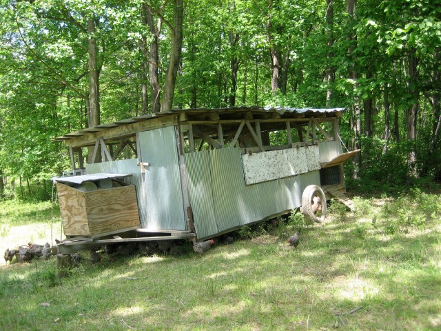 3794044324_589b079765_b