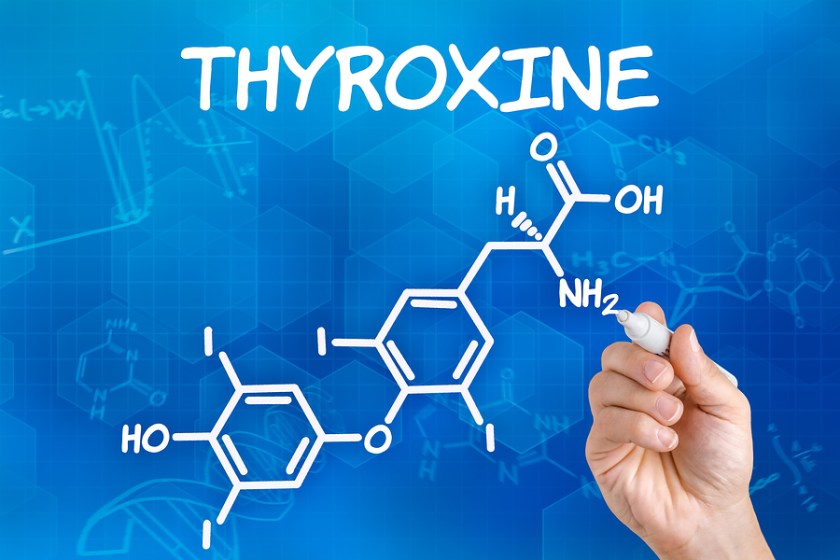 thyroxine