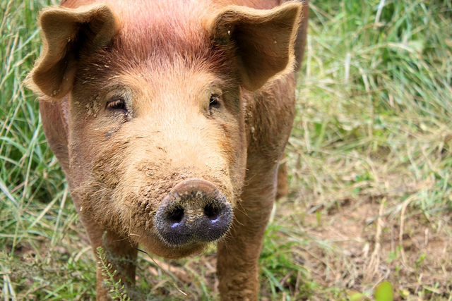 6069196031_08ac622da6_z