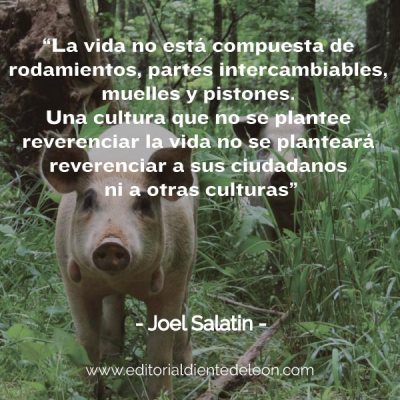 Q&A con Joel Salatin