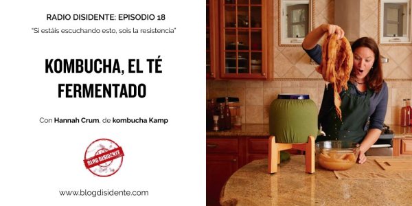 Kombucha, el té fermentados, con Hannah Crum